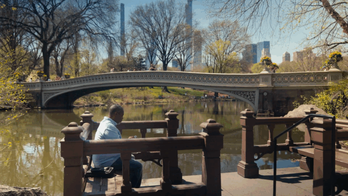 Flutter Dev Story - Global Citizen user in Central Park